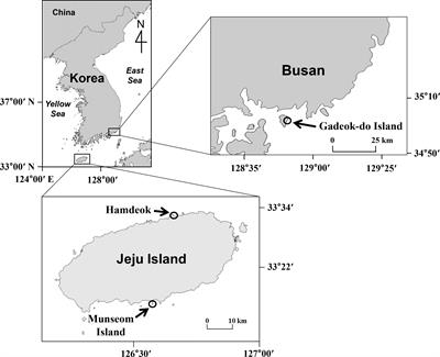 Essential amino acid carbon isotope ratios as indicators of marine macrophyte response to environmental variation
